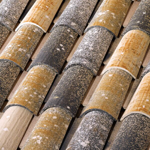 CENTENARIA® - Mediterrania®